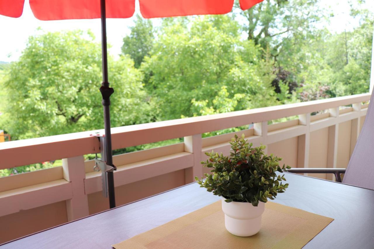 Wohnung #5 Mit Balkon - Zentrale Dennoch Ruhige Lage Mit Terrasse - Stadtbus Vor Der Tuer! リンダウ エクステリア 写真
